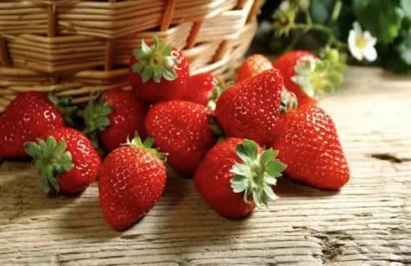 为什么冬天的草莓不能吃(冬天的草莓是不是反季节水果)