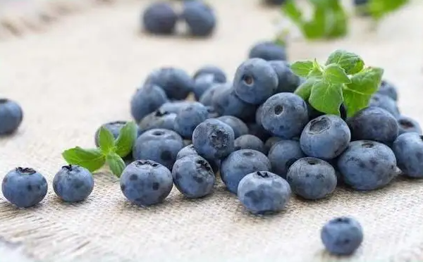 蓝莓一天吃多少为宜(蓝莓干一天吃多少为宜)