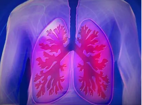 肺癌晚期最怕三个征兆(肺癌前兆的五大症状)