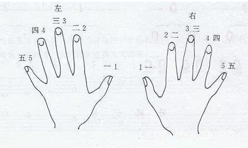 钢琴入门指法教程-钢琴入门指法教程指法是手