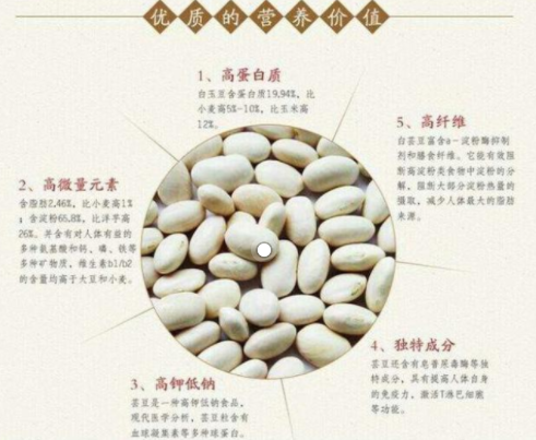 白芸豆的功效与作用
