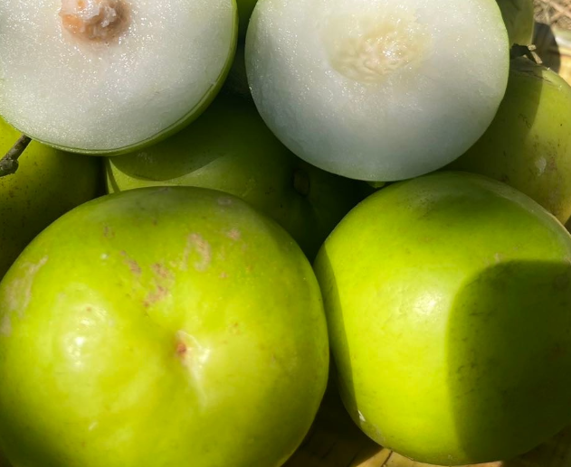 苹果枣是什么水果，其实这个水果还有另外一个名字