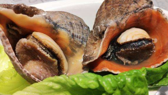 海螺的做法煮多长时间，这样做的海螺简单好吃