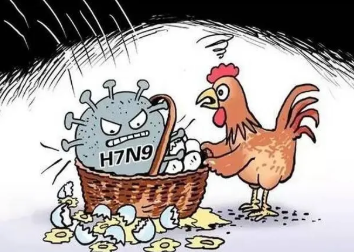 一国出现人感染禽流感病例-一国出现人感染禽流感病例但人际传
