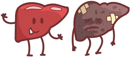肝脏不好有什么表现症状有哪些？盘点肝不好的6个症状
