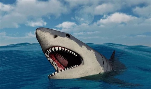 巨齿鲨的祖先是什么(熊猫的祖先是谁)