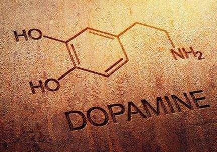 多巴胺是什么东西-多巴胺是什么东西在两个神