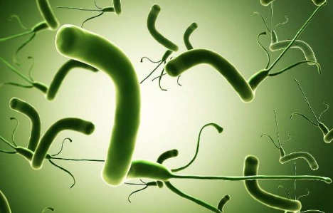 幽门螺旋杆菌感染有哪些症状 三个症状介绍