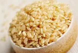 糙米是什么米 全谷粒米