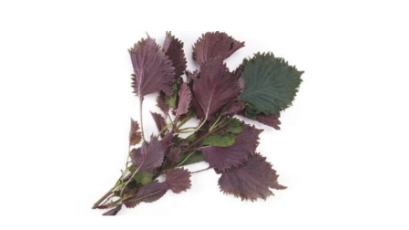 紫苏叶的功效与作用 紫苏叶的营养成分