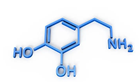 多巴胺是什么 多巴胺和荷尔蒙