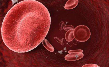 红细胞偏高是什么意思 红细胞偏高怎么恢复正常