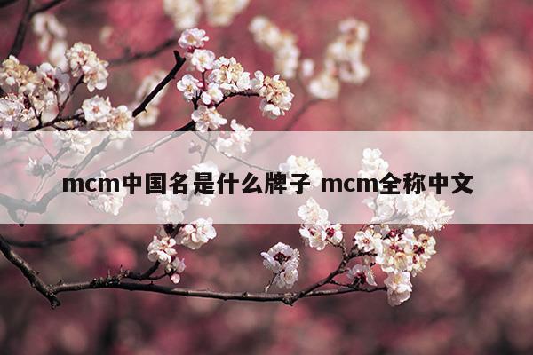 mcm中国名是什么牌子mcm全称中文(mcm的中文名)
