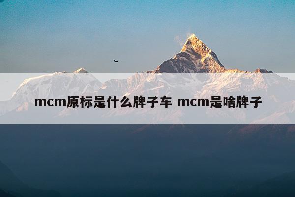 mcm原标是什么牌子车mcm是啥牌子(mcm官网中文官网)