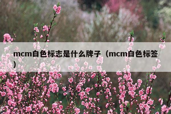 mcm白色标志是什么牌子(mcm有米白色的包吗)