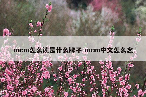 mcm怎么读是什么牌子mcm中文怎么念(mcm香水牌子属于什么档次)