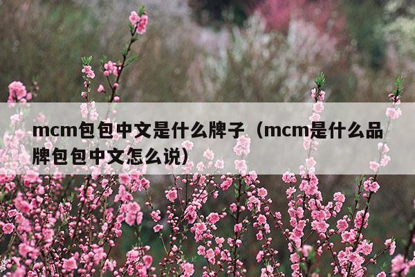 mcm包包中文是什么牌子(mcm是什么牌子女包)