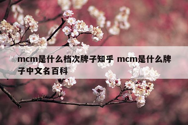 mcm是什么档次牌子知乎mcm是什么牌子中文名百科(mcm是什么品牌?)