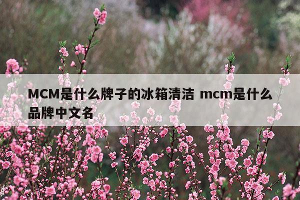 MCM是什么牌子的冰箱清洁mcm是什么品牌中文名