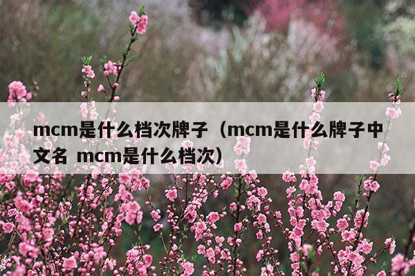 mcm是什么牌子中文名 mcm是什么档次