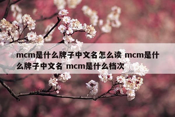 mcm是什么牌子中文名怎么读mcm是什么牌子中文名mcm是什么档次(mcm中文叫什么)