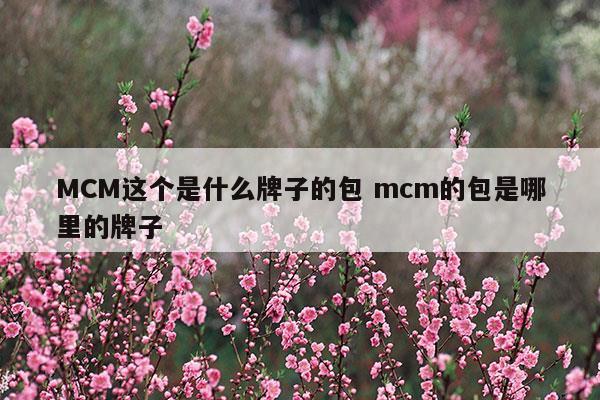 MCM这个是什么牌子的包mcm的包是哪里的牌子(mcm是什么牌子)