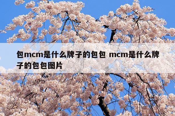 包mcm是什么牌子的包包mcm是什么牌子的包包图片(mcm是什么牌子的包包价格)