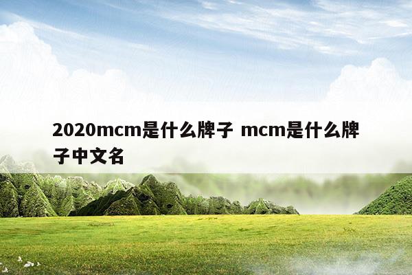2023mcm是什么牌子mcm是什么牌子中文名(mcm 2021)