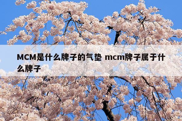 MCM是什么牌子的气垫mcm牌子属于什么牌子(mce气垫)
