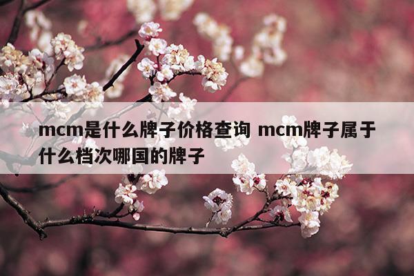 mcm是什么牌子价格查询mcm牌子属于什么档次哪国的牌子(coach和mcm哪个档次高)
