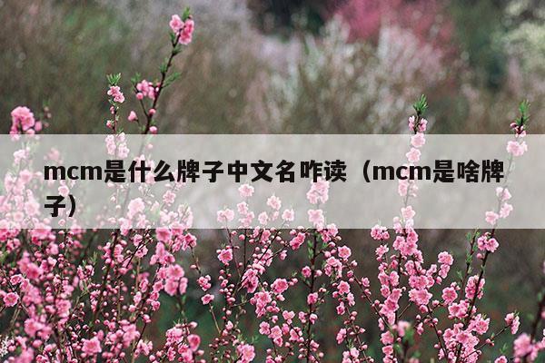 mcm是什么牌子中文名咋读(mcm的中文意思是什么)