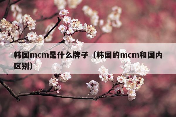 韩国mcm是什么牌子(和闺蜜吃美食视频)