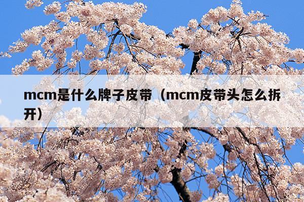 mcm是什么牌子皮带(mcm是什么牌子中文名是真皮吗?)