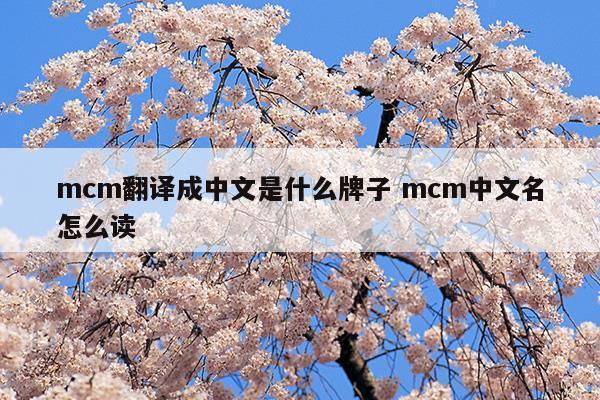 mcm翻译成中文是什么牌子mcm中文名怎么读(mcm是什么牌子中文名叫什么)
