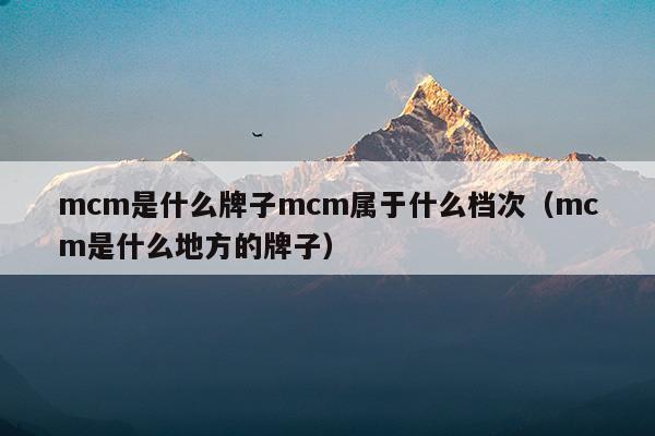 mcm是什么牌子mcm属于什么档次(mcm是什么牌子价位是多少)