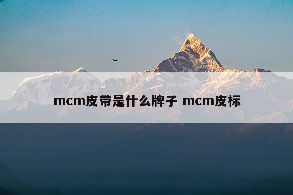 mcm皮带是什么牌子mcm皮标(mcm是什么牌子价位)