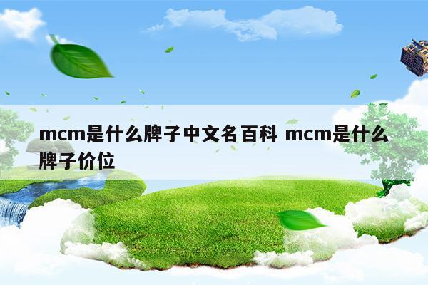 mcm是什么牌子中文名百科mcm是什么牌子价位(mcm包包是什么牌子中文名)
