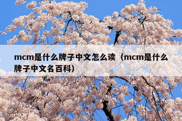 mcm是什么牌子中文怎么读(mcm是什么品牌中文名)