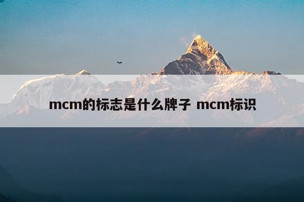 mcm的标志是什么牌子mcm标识(安全生产标志标识)