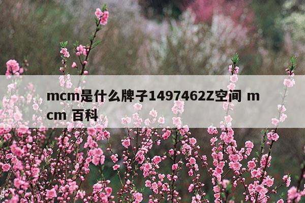 mcm是什么牌子1497462Z空间mcm百科(mcm官网中文官网)