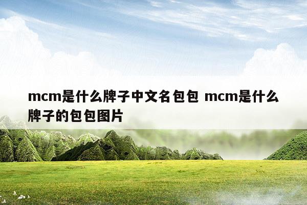 mcm是什么牌子中文名包包mcm是什么牌子的包包图片(mcm包包是哪个国家的)