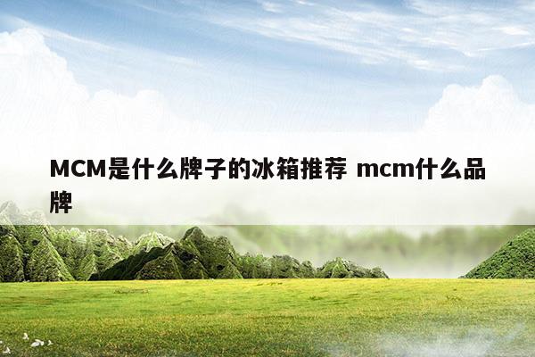 MCM是什么牌子的冰箱推荐mcm什么品牌(冰箱推荐2023)