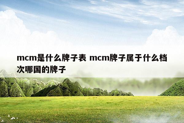 mcm是什么牌子表mcm牌子属于什么档次哪国的牌子(mcm是啥牌子)