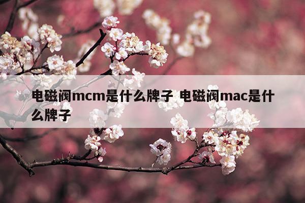 mac电磁阀中国