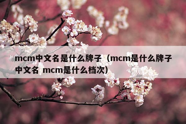 mcm中文名是什么牌子(mcm中文名叫什么)