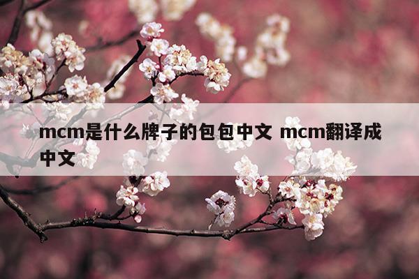 mcm是什么牌子的包包中文mcm翻译成中文(mcm是什么牌子的包包价格)
