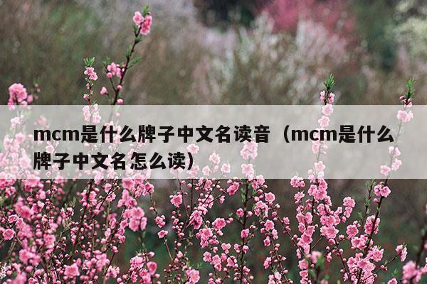 mcm是什么牌子中文名读音(mcm牌子属于什么档次怎么读)