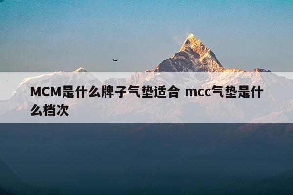 MCM是什么牌子气垫适合mcc气垫是什么档次(气垫哪个牌子好用排名)