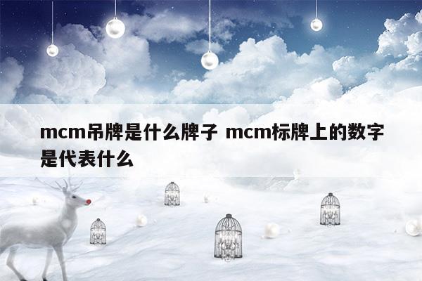 mcm吊牌是什么牌子mcm标牌上的数字是代表什么(mcm铭牌上的数字什么意思)