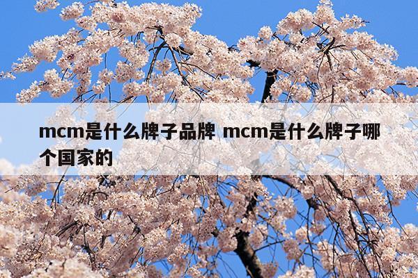 mcm是什么牌子品牌mcm是什么牌子哪个国家的(mcm是哪国品牌)